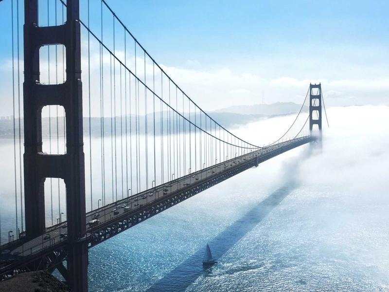 宠物殡葬师<br>efewuuh.cn 毛孩子告别